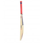 GM Purist Striker Kashmir Willow Cricket Bat